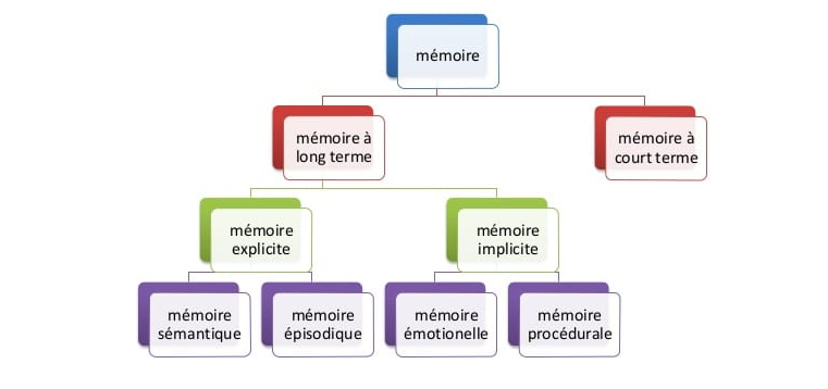Schéma sur les différents types de mémoire