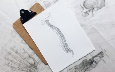 Défi : Apprendre les os du corps humain